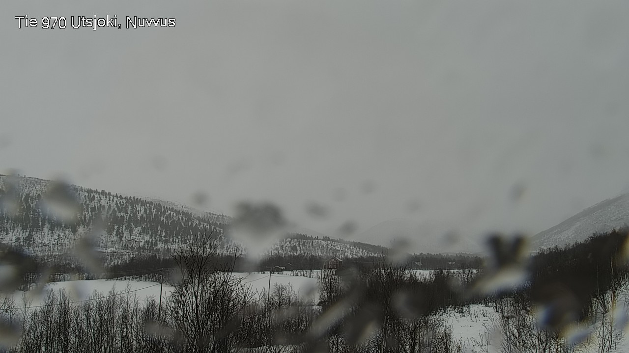 Kelikamerat Kuva Tie 970 Utsjoki, Nuvvus, Utsjoki, Lappi