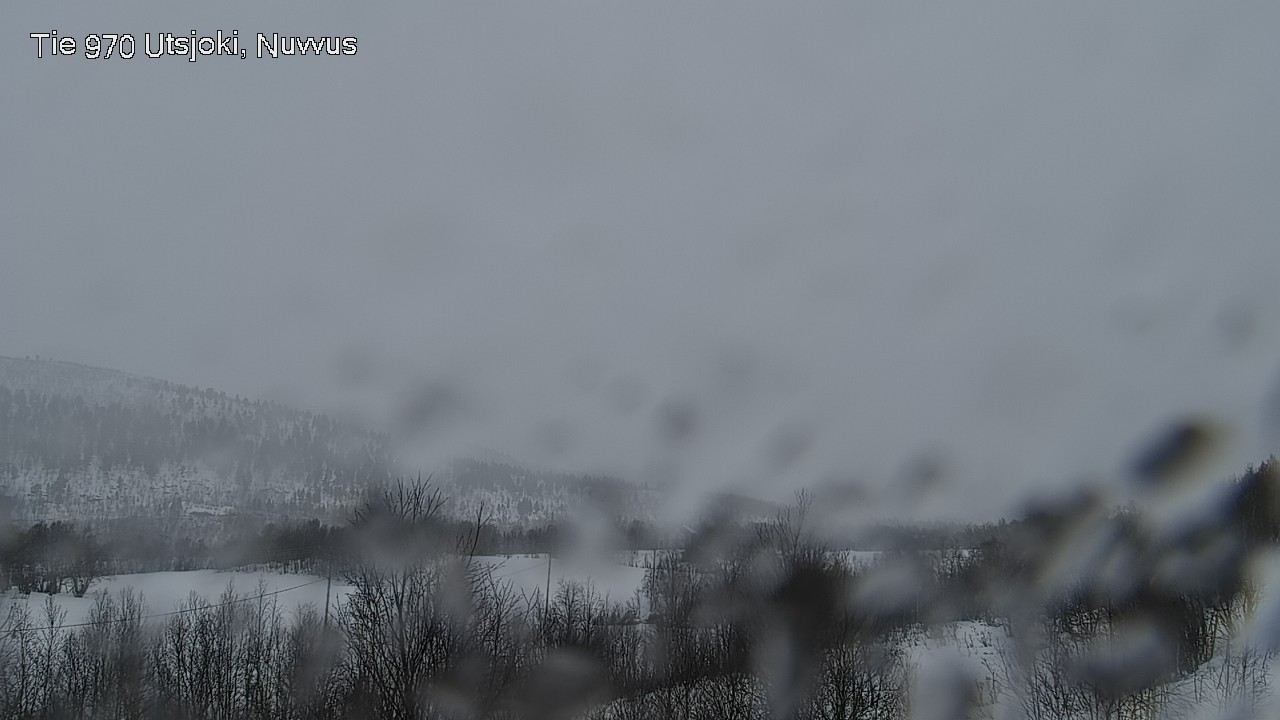 Kelikamerat Kuva Tie 970 Utsjoki, Nuvvus, Utsjoki, Lappi