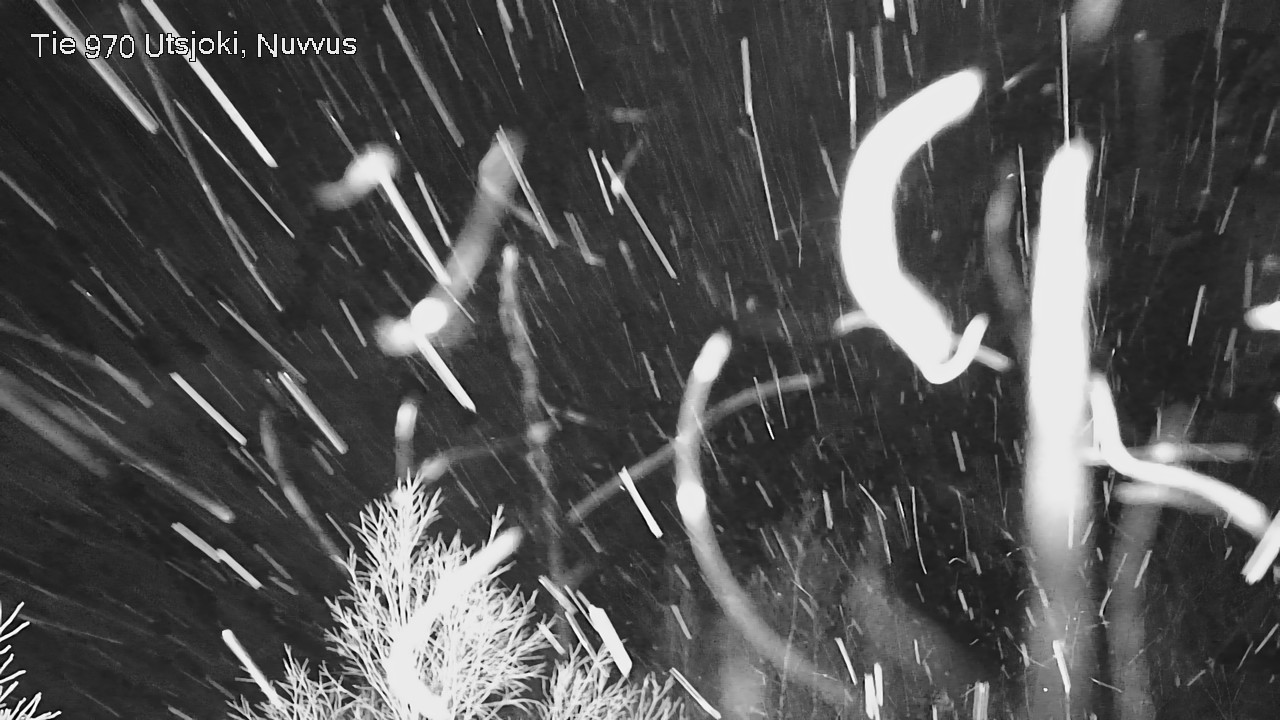 Kelikamerat Kuva Tie 970 Utsjoki, Nuvvus, Utsjoki, Lappi