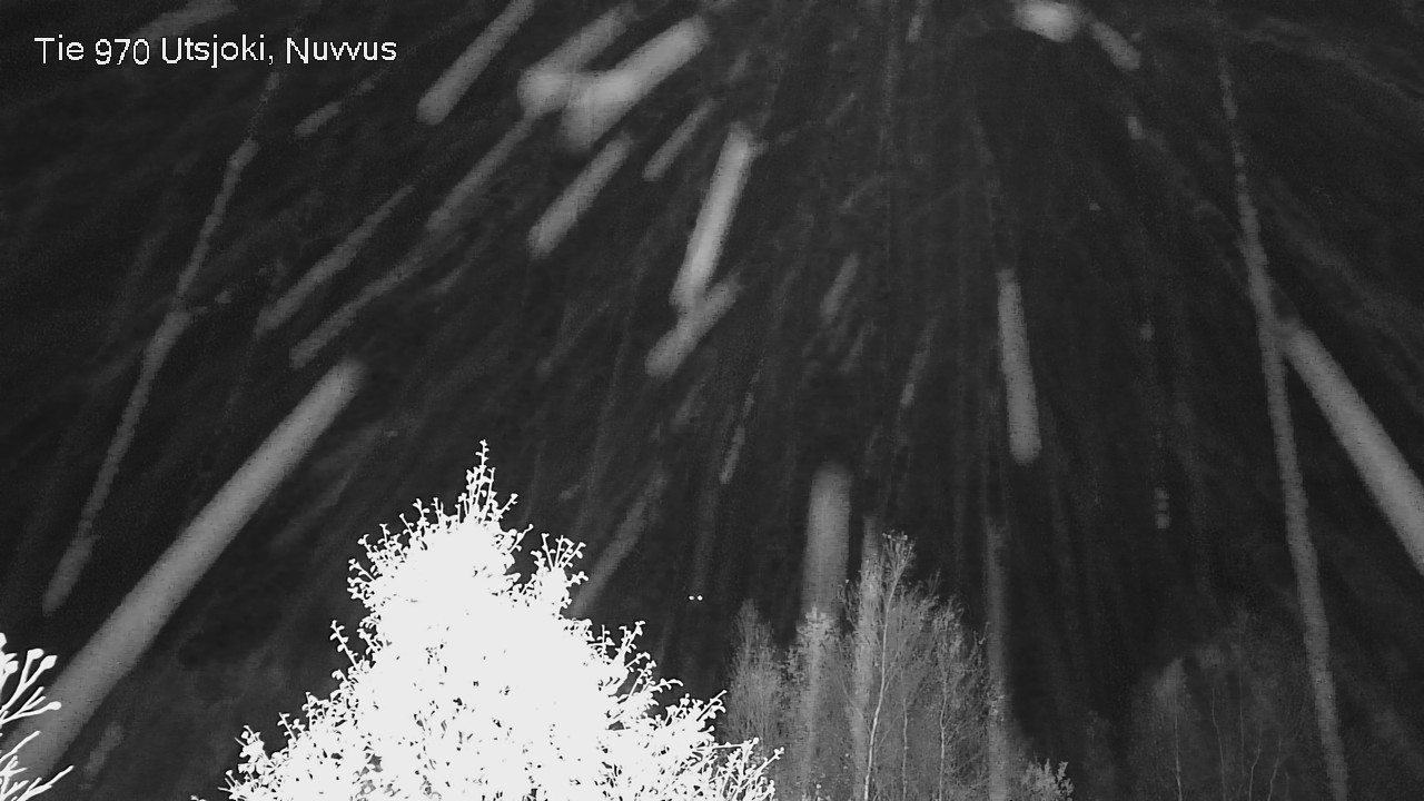 Kelikamerat Kuva Tie 970 Utsjoki, Nuvvus, Utsjoki, Lappi