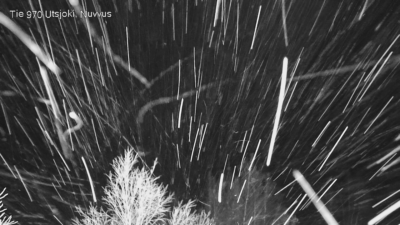 Kelikamerat Kuva Tie 970 Utsjoki, Nuvvus, Utsjoki, Lappi