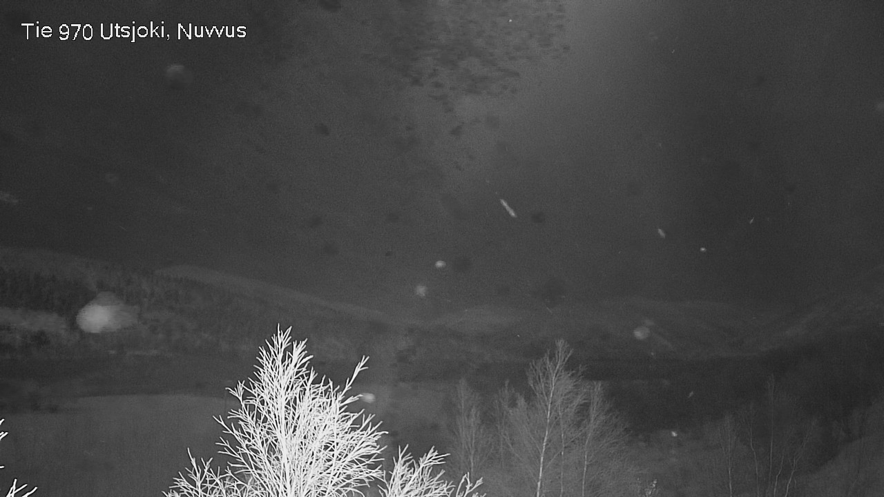 Kelikamerat Kuva Tie 970 Utsjoki, Nuvvus, Utsjoki, Lappi