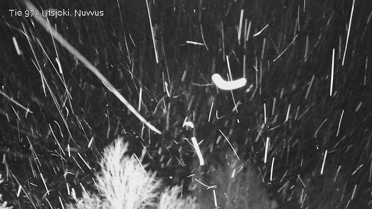 Kelikamerat Kuva Tie 970 Utsjoki, Nuvvus, Utsjoki, Lappi