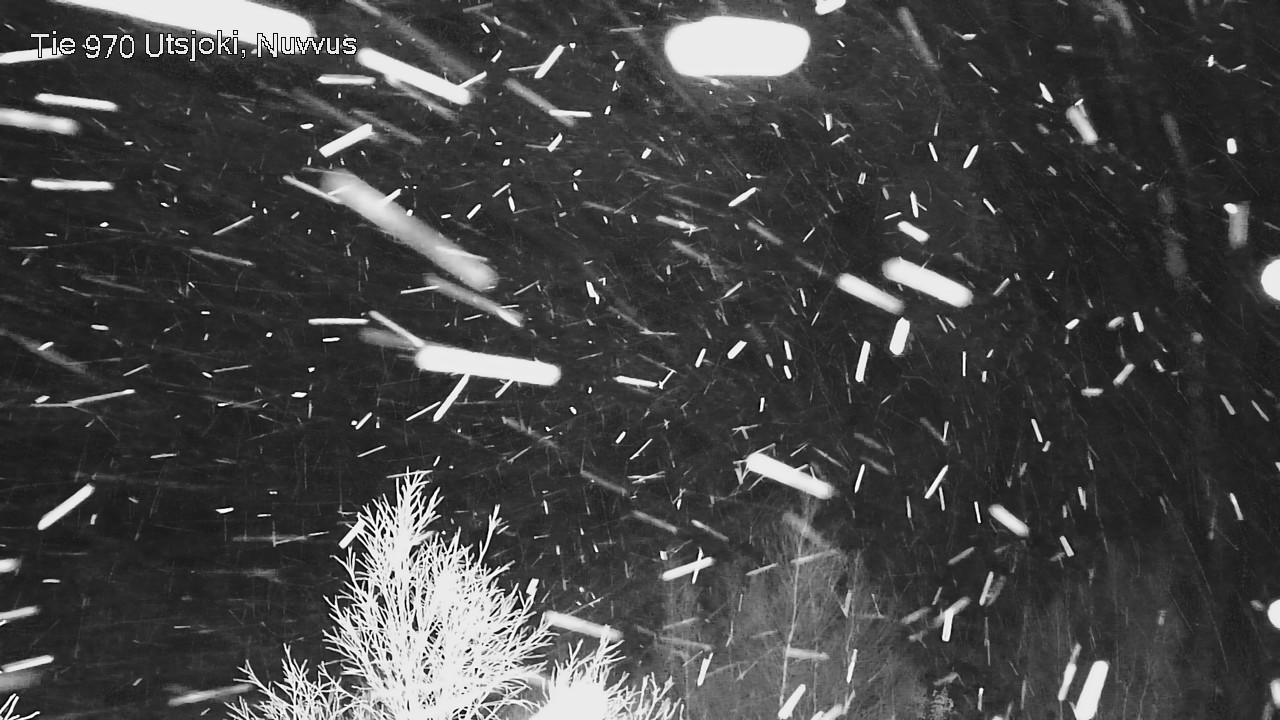 Kelikamerat Kuva Tie 970 Utsjoki, Nuvvus, Utsjoki, Lappi