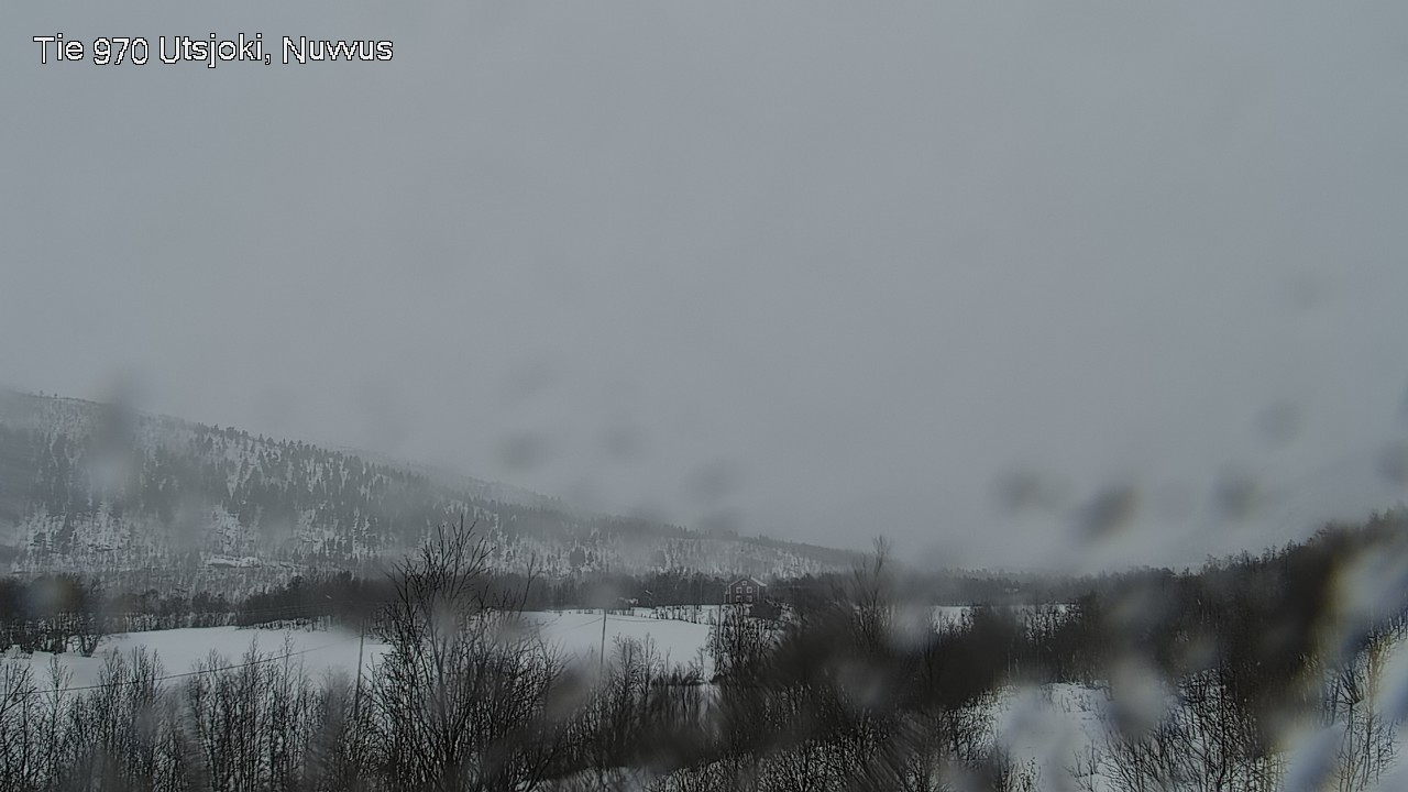 Kelikamerat Kuva Tie 970 Utsjoki, Nuvvus, Utsjoki, Lappi