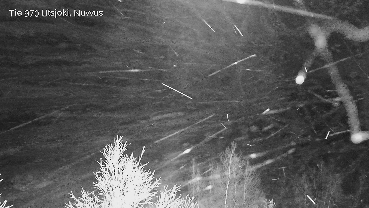 Kelikamerat Kuva Tie 970 Utsjoki, Nuvvus, Utsjoki, Lappi