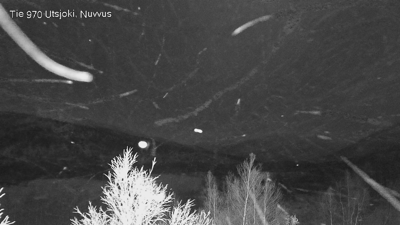 Kelikamerat Kuva Tie 970 Utsjoki, Nuvvus, Utsjoki, Lappi