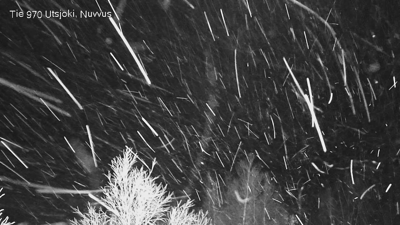 Kelikamerat Kuva Tie 970 Utsjoki, Nuvvus, Utsjoki, Lappi