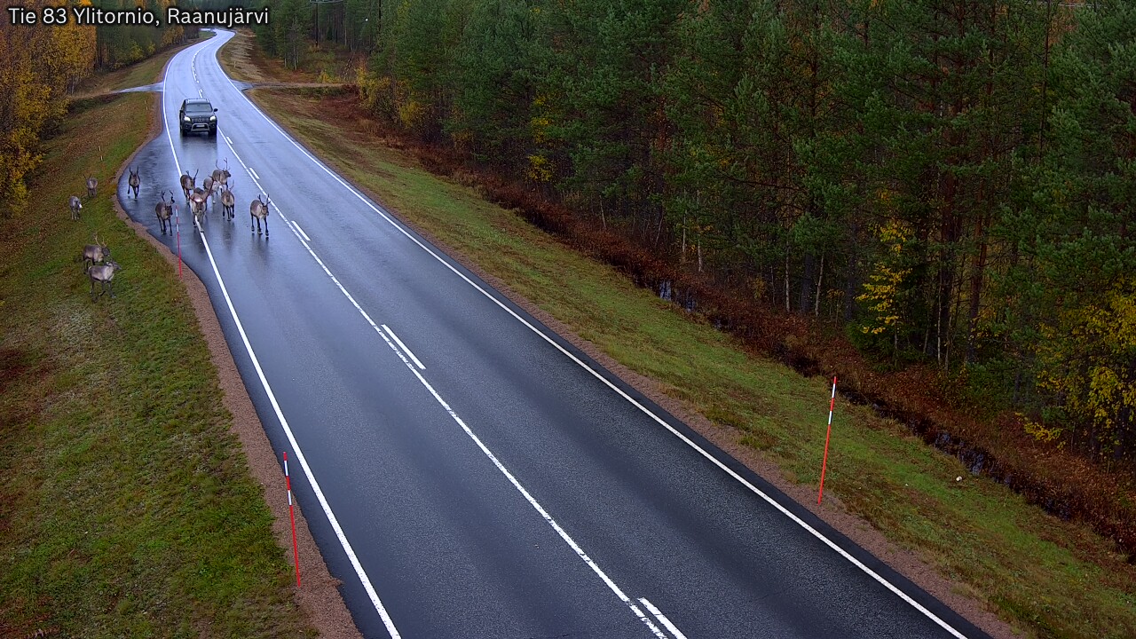 Kelikamerat Kuva Tie 83 Ylitornio, Raanujärvi, Ylitornio, Lappi