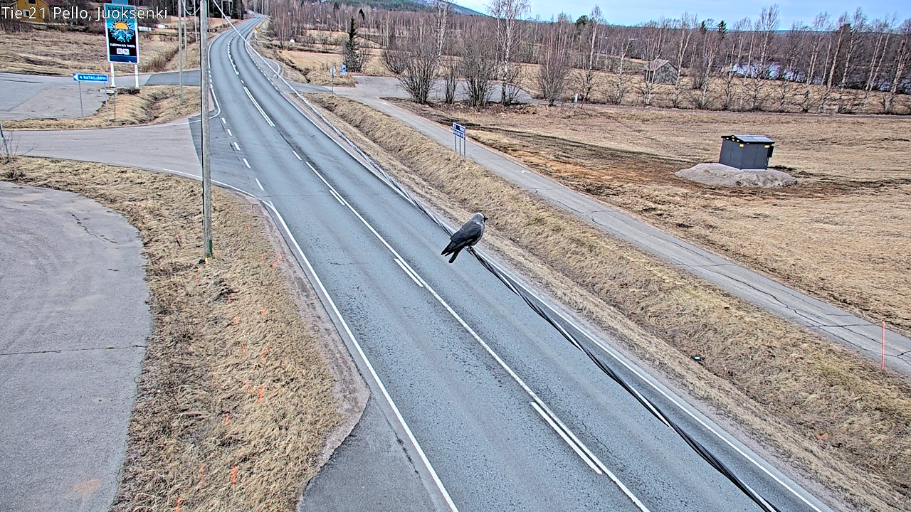 Weather Camera Image Väg 21 Pello Juoksenki, Pello, Lappi