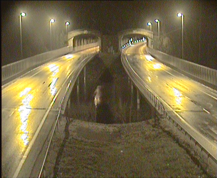 Kelikamerat Kuva Tie 1, Lohja, Karnainen länsi, Lohja, Uusimaa