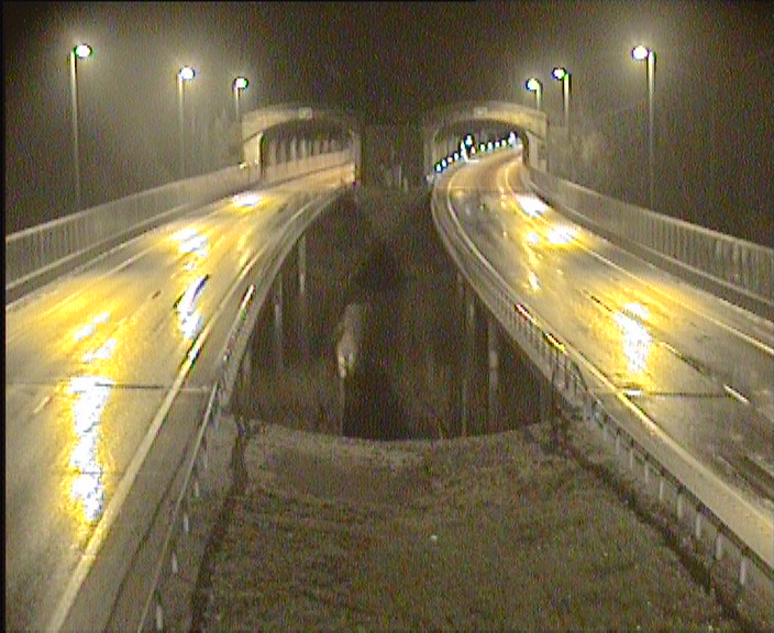 Kelikamerat Kuva Tie 1, Lohja, Karnainen länsi, Lohja, Uusimaa