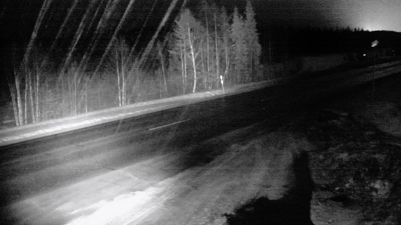 Kelikamerat Kuva Tie 4 Sodankylä, Petäjämaa, Sodankylä, Lappi