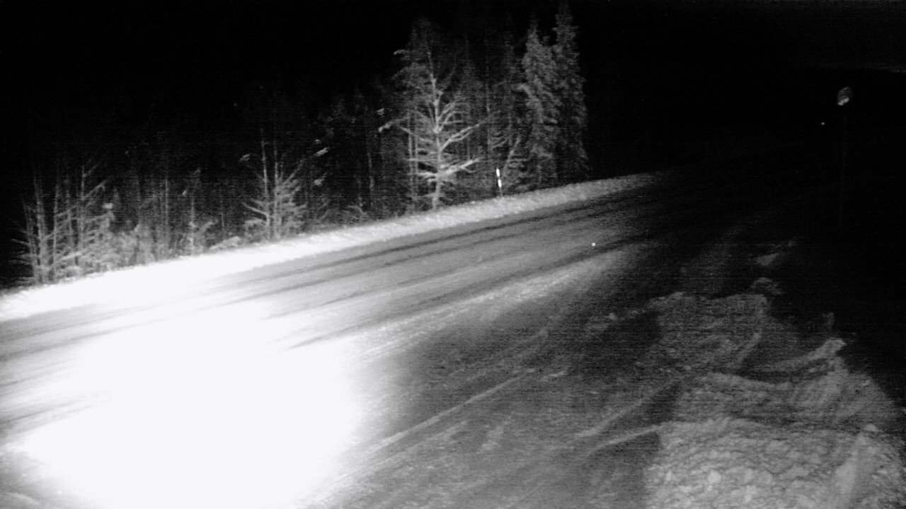 Weather Camera Image Road 5 4 Sodankylä, Petäjämaa, Sodankylä, Lappi