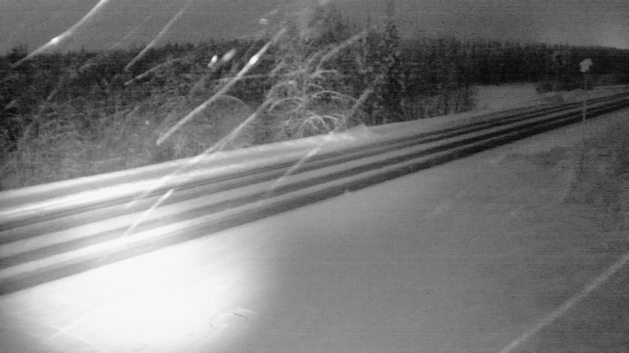 Weather Camera Image Road 5 4 Sodankylä, Petäjämaa, Sodankylä, Lappi