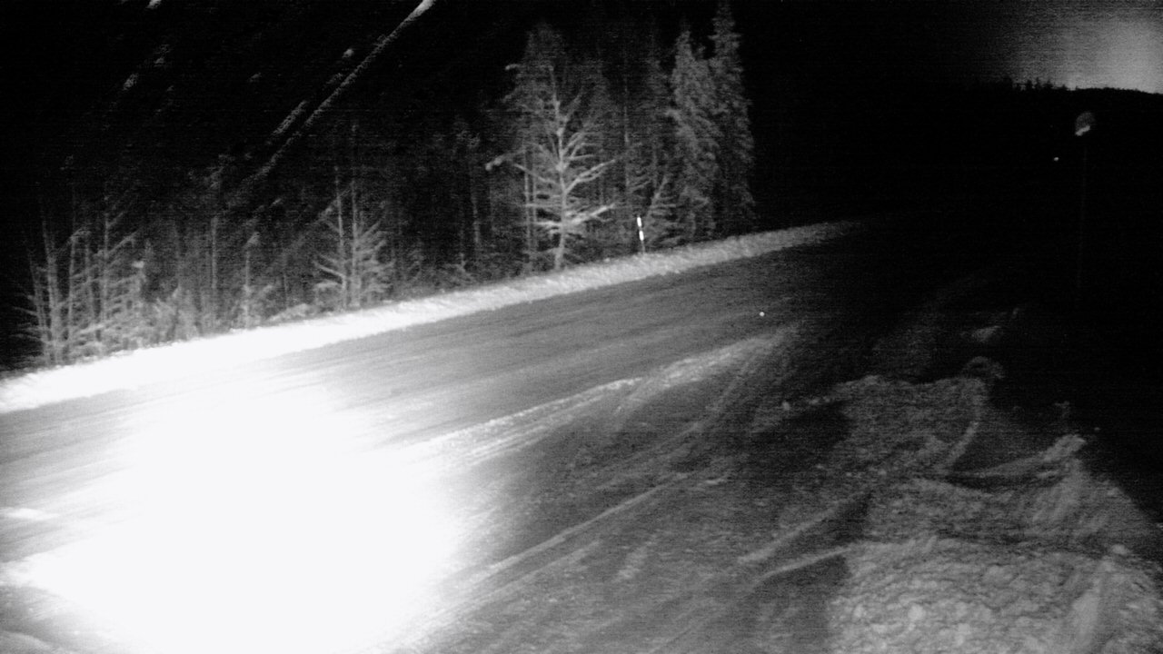 Weather Camera Image Road 5 4 Sodankylä, Petäjämaa, Sodankylä, Lappi