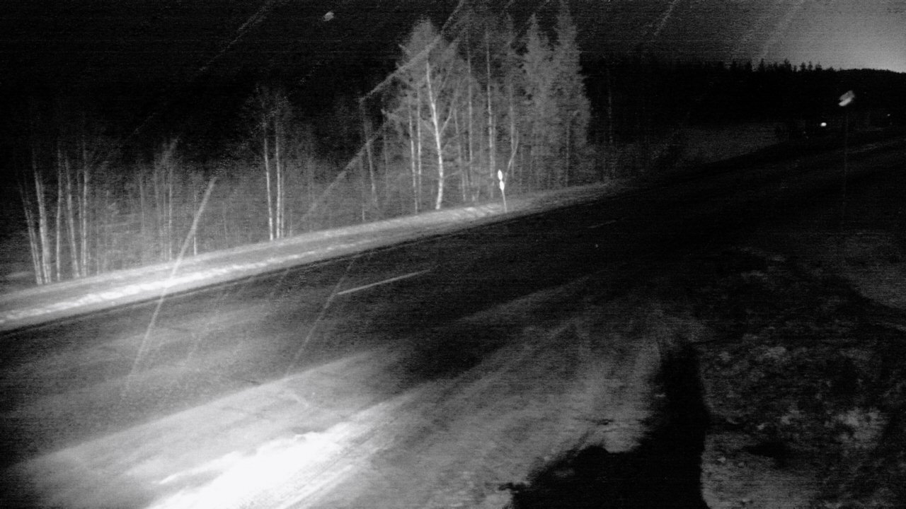 Kelikamerat Kuva Tie 4 Sodankylä, Petäjämaa, Sodankylä, Lappi