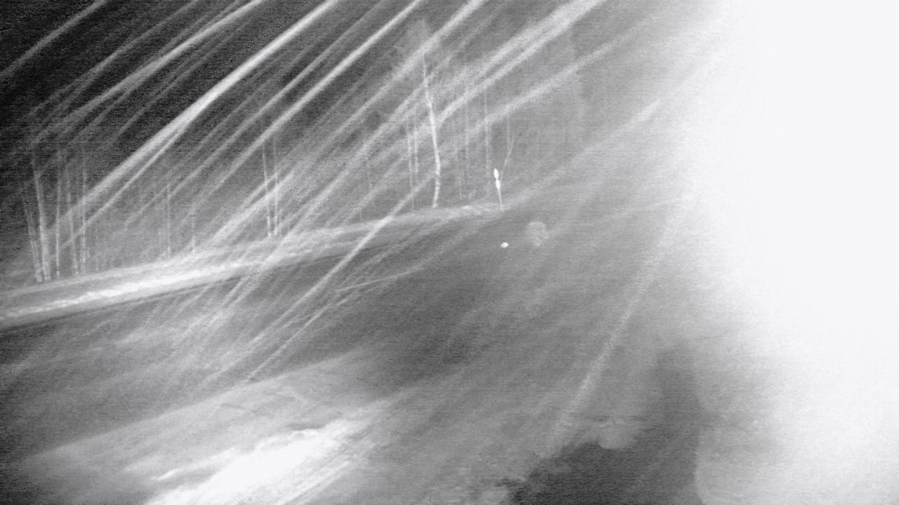 Kelikamerat Kuva Tie 4 Sodankylä, Petäjämaa, Sodankylä, Lappi