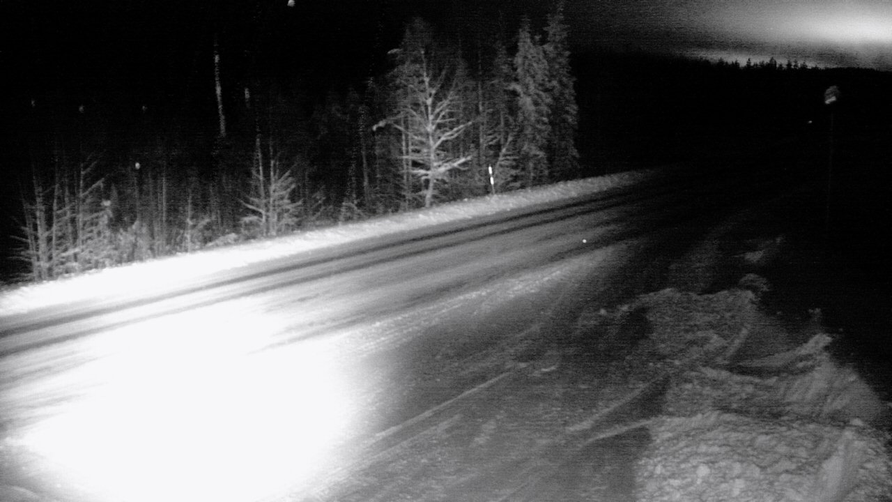 Weather Camera Image Road 5 4 Sodankylä, Petäjämaa, Sodankylä, Lappi
