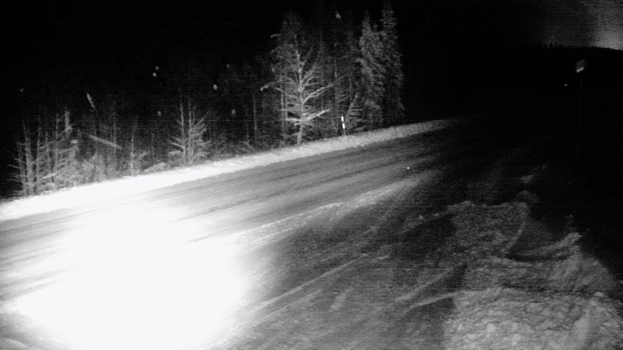 Weather Camera Image Road 5 4 Sodankylä, Petäjämaa, Sodankylä, Lappi
