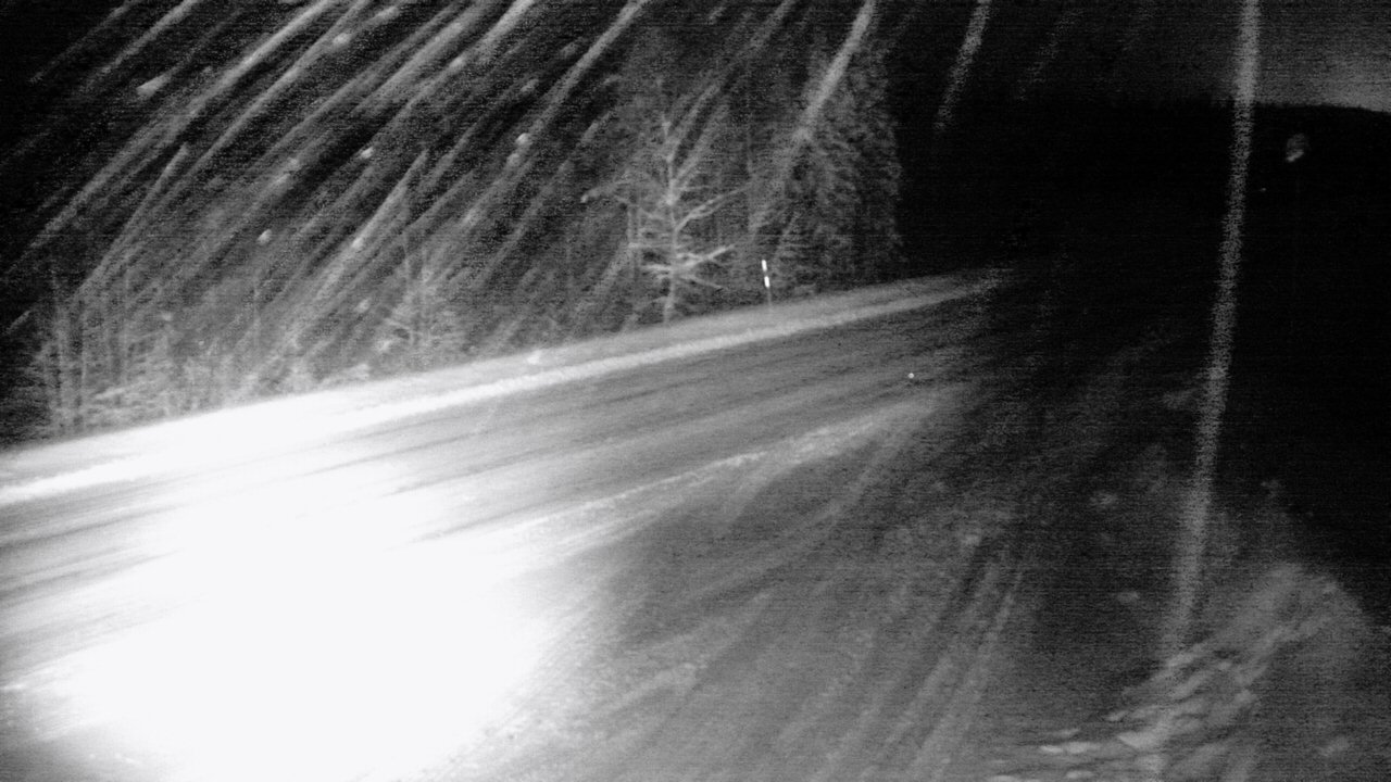 Weather Camera Image Road 5 4 Sodankylä, Petäjämaa, Sodankylä, Lappi