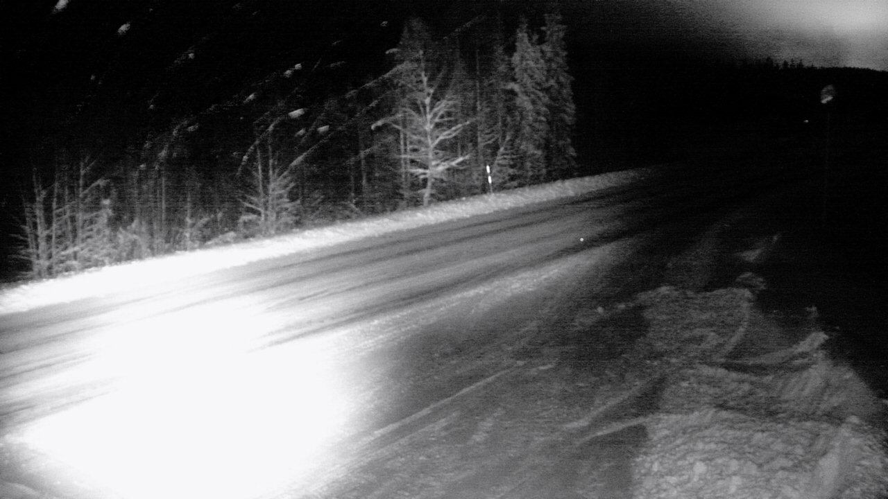 Weather Camera Image Road 5 4 Sodankylä, Petäjämaa, Sodankylä, Lappi