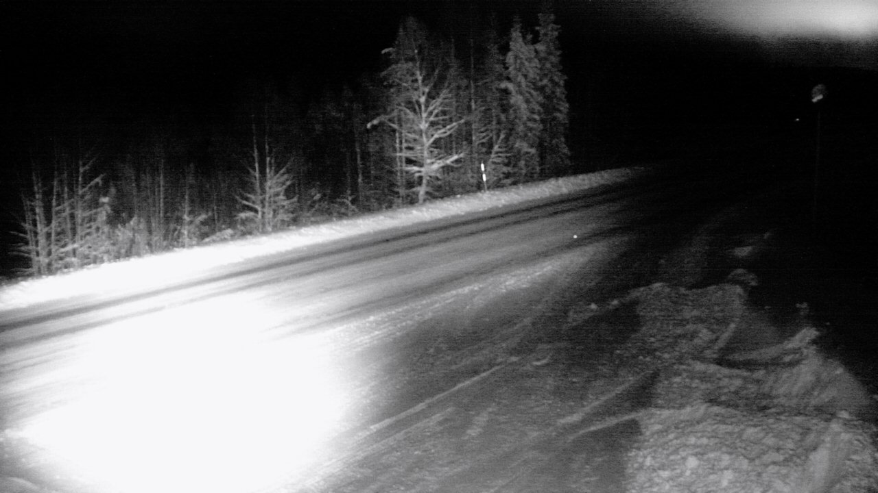 Weather Camera Image Road 5 4 Sodankylä, Petäjämaa, Sodankylä, Lappi